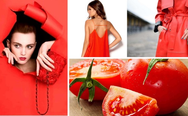 Les couleurs de vêtements les plus à la mode 2026: les meilleures combinaisons de couleurs, les tendances de couleurs à la mode