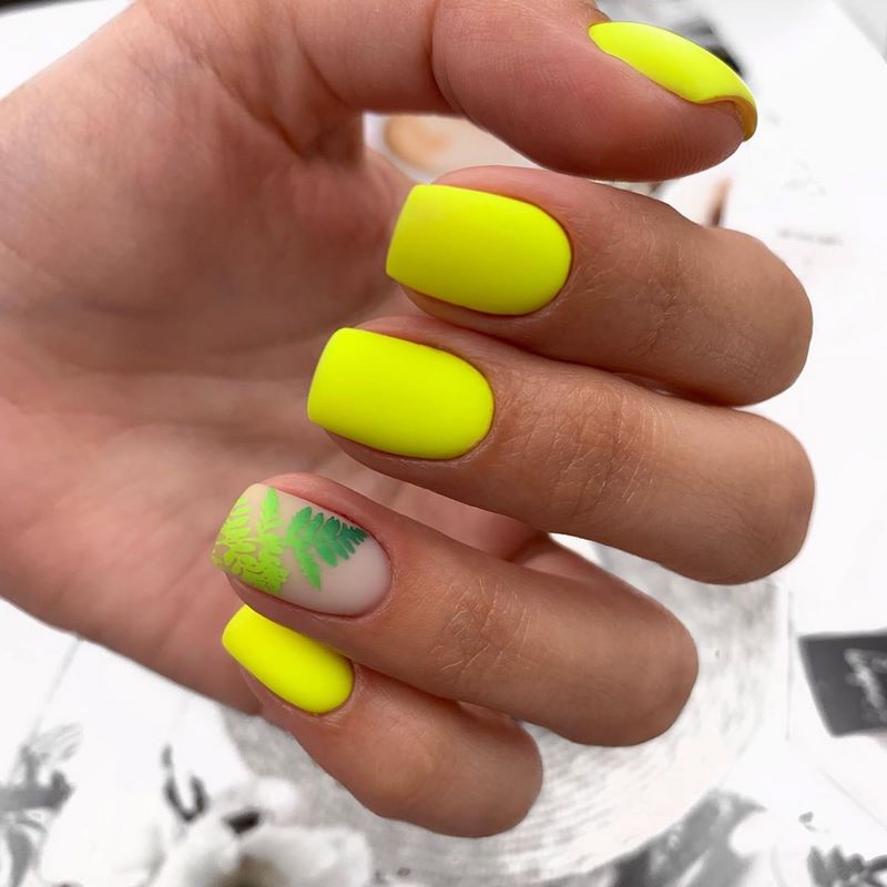 Nouvelles images de manucure pour l'été 2026 - les principales tendances et tendances de la photo